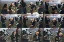  &raquo; Посмотреть ->
